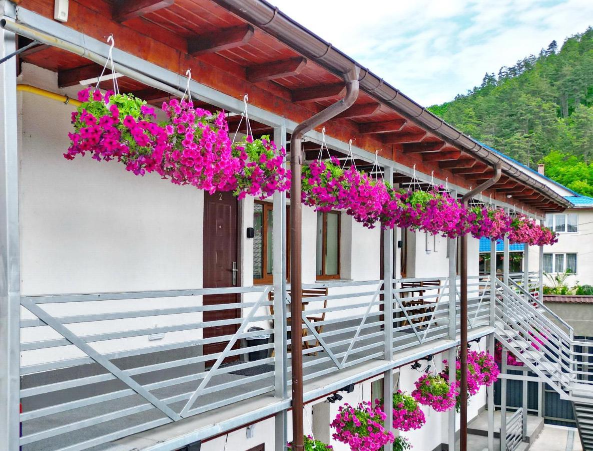 Vaias Aparts Targu Neamt Exterior photo