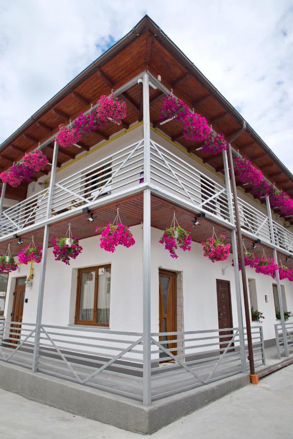 Vaias Aparts Targu Neamt Exterior photo