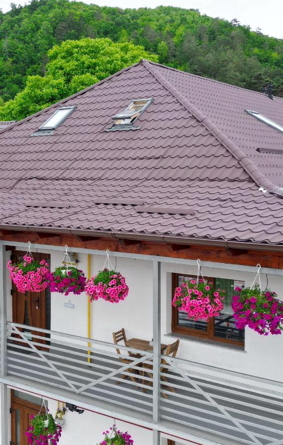 Vaias Aparts Targu Neamt Exterior photo